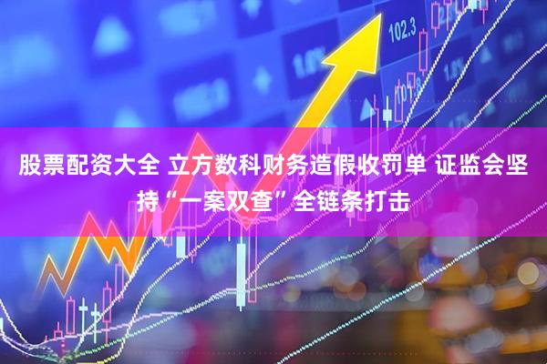 股票配资大全 立方数科财务造假收罚单 证监会坚持“一案双查”全链条打击