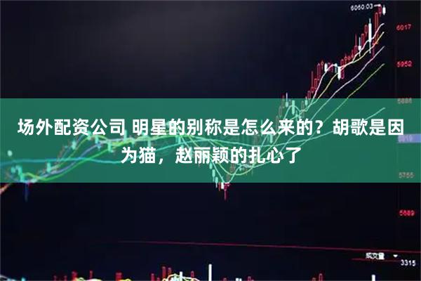 场外配资公司 明星的别称是怎么来的？胡歌是因为猫，赵丽颖的扎心了