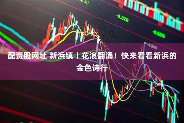 配资股网址 新浜镇丨花浪翻涌！快来看看新浜的金色诗行